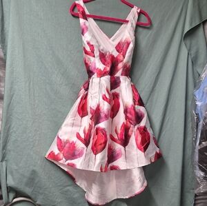 Floral Sleeveless Dress